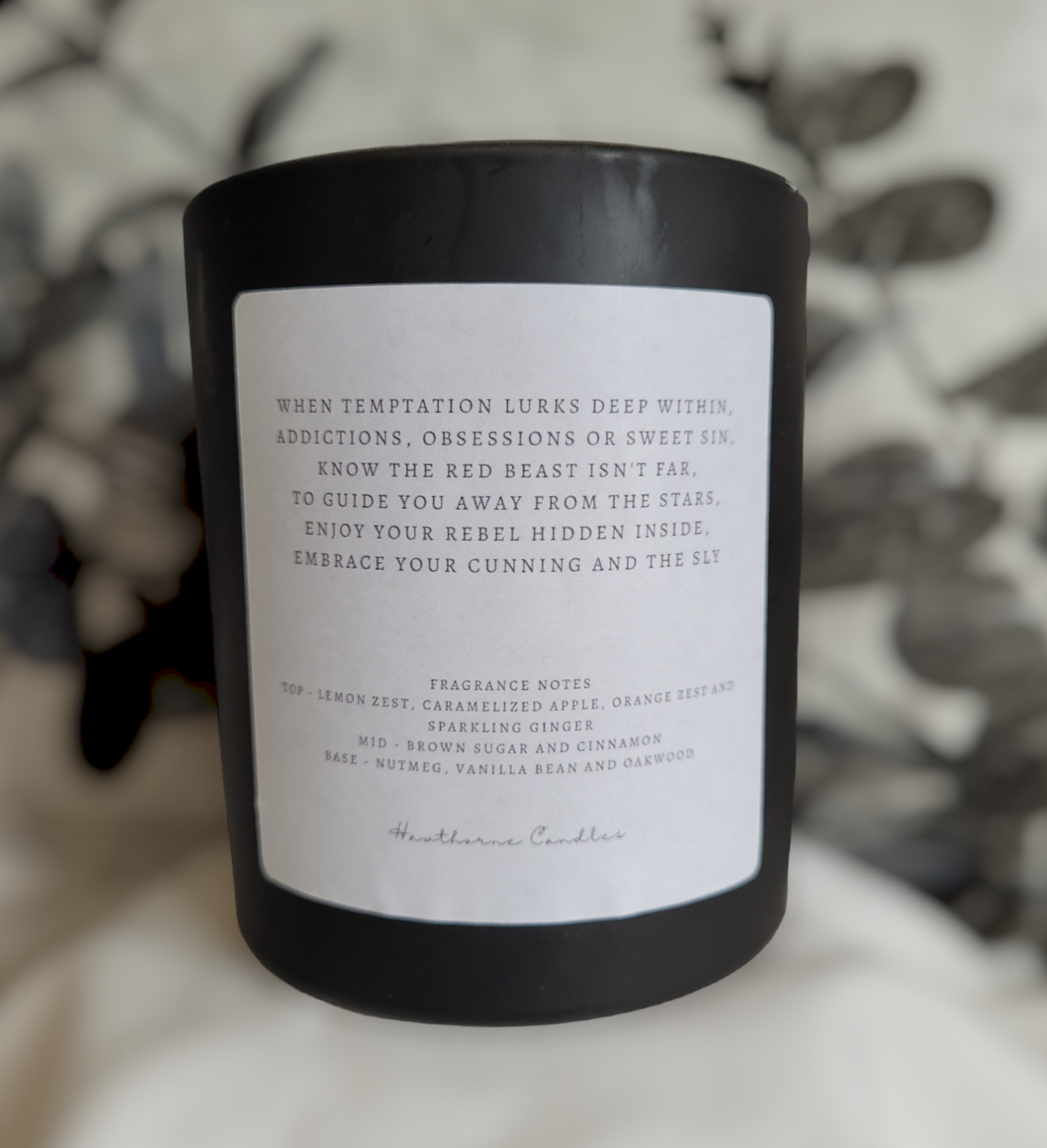 30cl Soy Wax Candle - The Devil